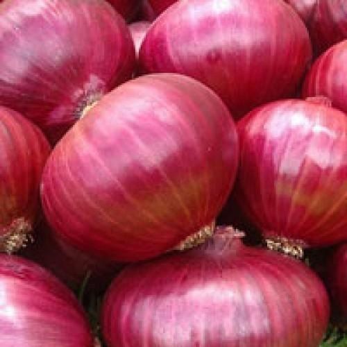 Indian Origin Red Onion