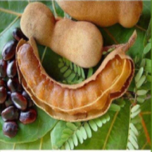 Dried Pure Natural Brown Tamarind