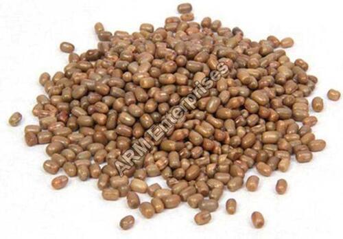 Turkish Gram Beans for Cooking 