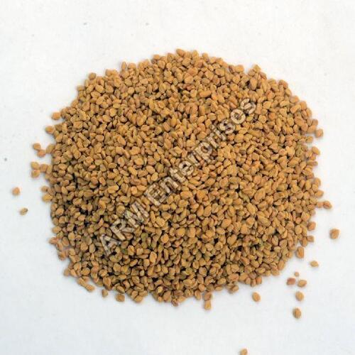 Yellow Fenugreek Seeds for Cooking