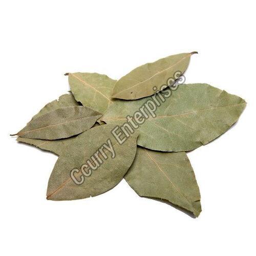 Dried Bay Leaves for Cooking