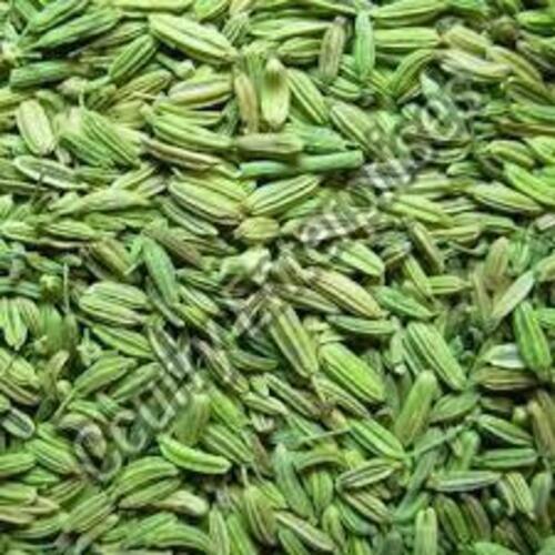 Green Fennel Seeds for Cooking