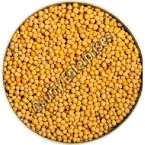 Natural Yellow Mustard Seeds 