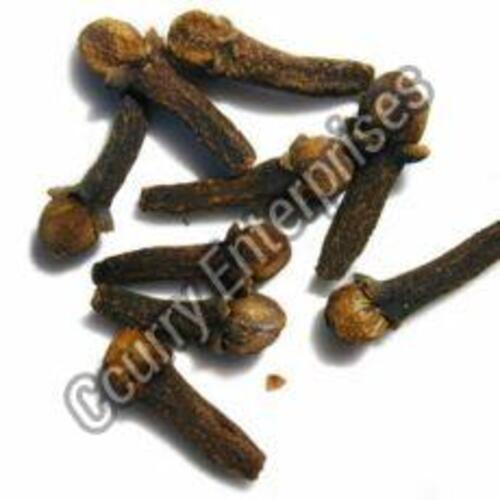 Organic Clove Pods for Cooking