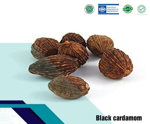 Vietnam Origin Dark Brown Cardamom