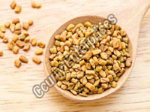 Organic Yellow Methi Seeds For Cooking