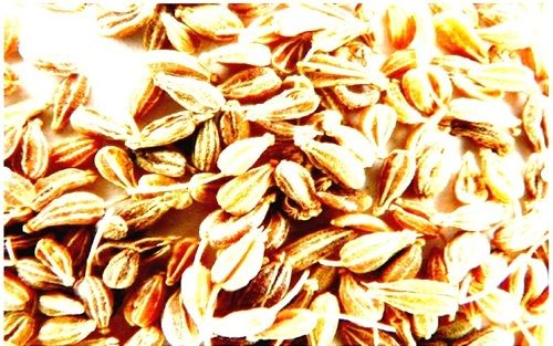 Healthy And Natural Dried Anise Seeds Grade: Food Grade