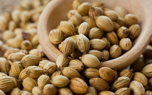 Healthy And Natural Dried Coriander Seeds Grade: Food Grade