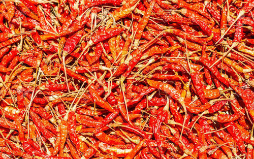 Healthy and Natural Dried Red Chillies