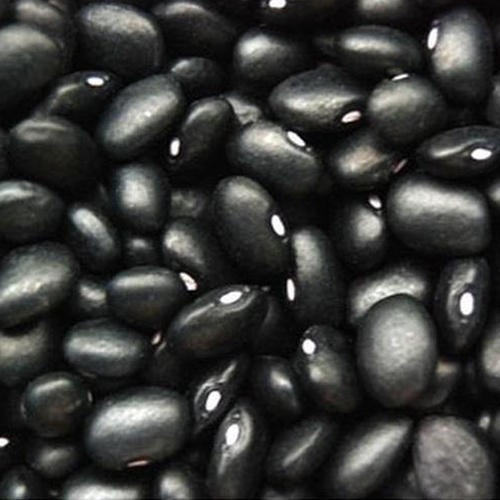 स्वस्थ और प्राकृतिक सूखे काले किडनी बीन्स 