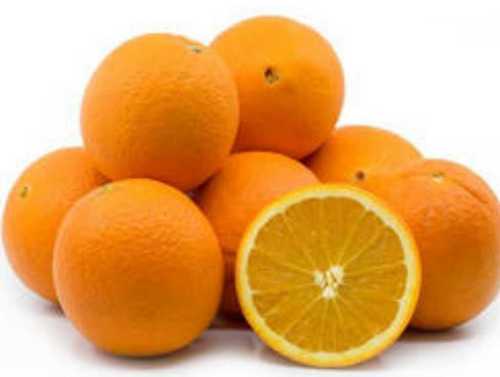 High Protein Fresh Orange