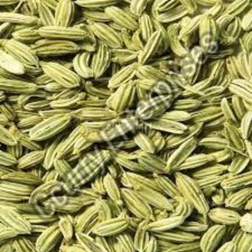 Light Green Natural Fennel Seeds For Cooking