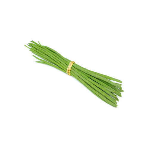 Healthy and Natural Organic Fresh Green Drumsticks