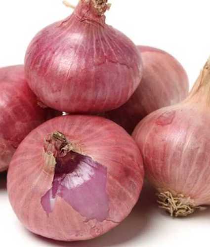 Hygienically Packed Red Onions