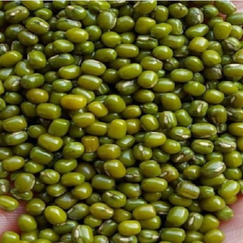 Polished Green Moong Beans