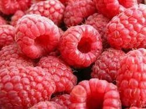 Raspberry Red Food Colors