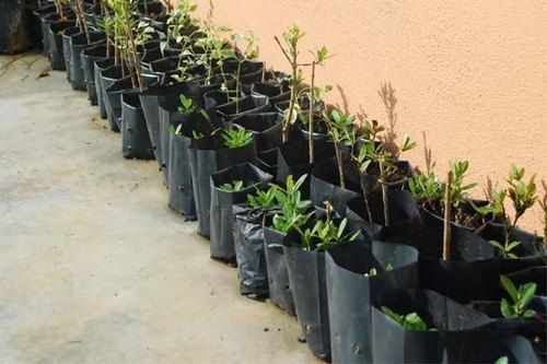 Black Plastic Poly Bags For Nursery