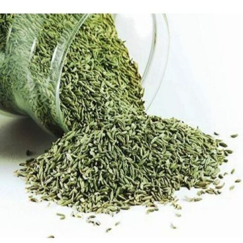 Healthy and Natural Dried Green Fennel Seeds