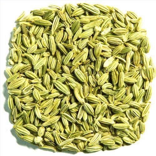 Green Healthy And Natural Organic Dried Fennel Seeds