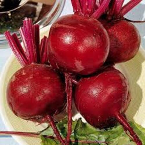 Healthy And Natural Organic Fresh Beetroot Shelf Life: 0-5 Days