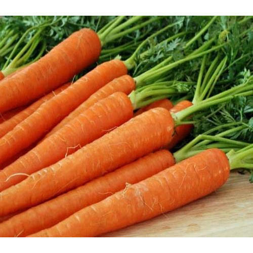 Organic Fresh Carrot - 100% Raw, Orange Color, Food Grade Quality | Natural Taste, Non Harmful, Ideal for Cooking