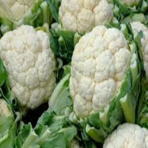 Healthy and Natural Organic Fresh Cauliflower