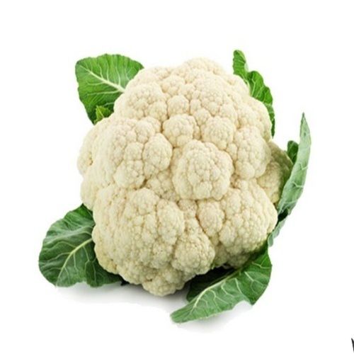 Organic Fresh Cauliflower - 100% Mature, 2% Calcium & Iron | Pesticide Free, No Artificial Flavor, Natural Taste