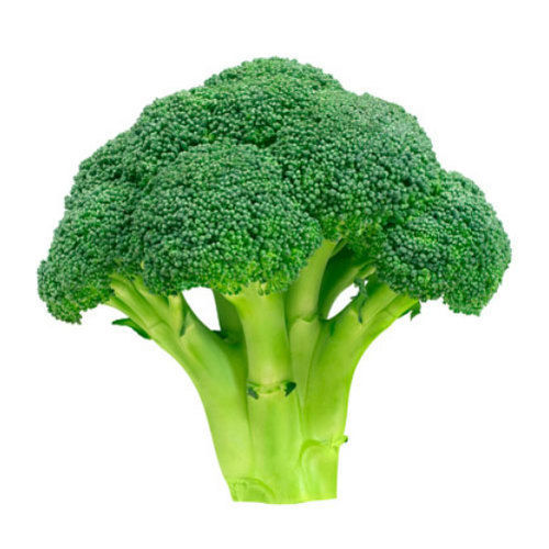 Healthy and Natural Organic Fresh Green Broccoli