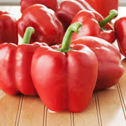 Healthy and Natural Organic Fresh Red Bell Pepper