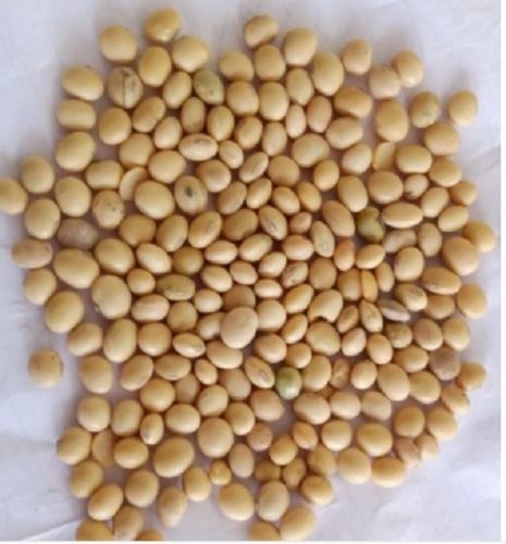 Organic Healthy Soy Beans Packaging: Bulk