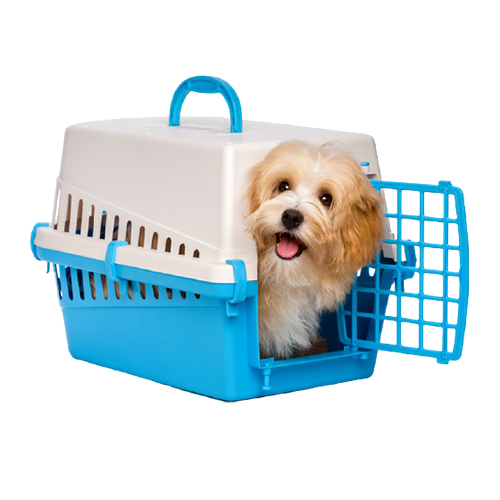 Pet Relocations Service By PRADHAN RELOCATIONS PRIVATE LIMITED