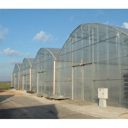 Transparent Polycarbonate Greenhouse