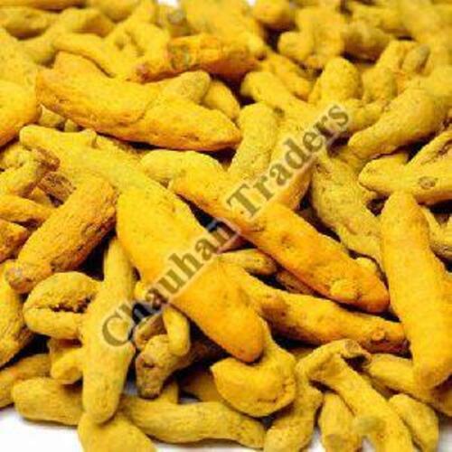 Dried Turmeric Finger