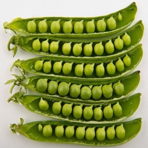 Healthy and Natural Fresh Green Peas