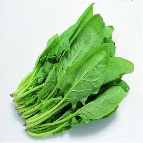 Healthy And Natural Fresh Green Spinach Leaves