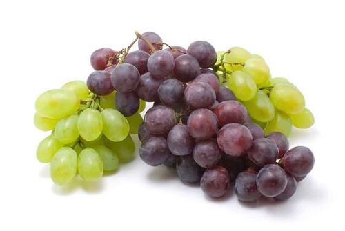 Healthy And Natural Organic Fresh Grapes