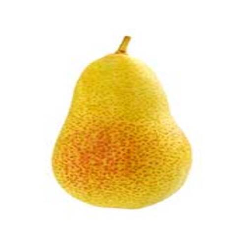 Healthy And Natural Organic Fresh Pears Size: Standard