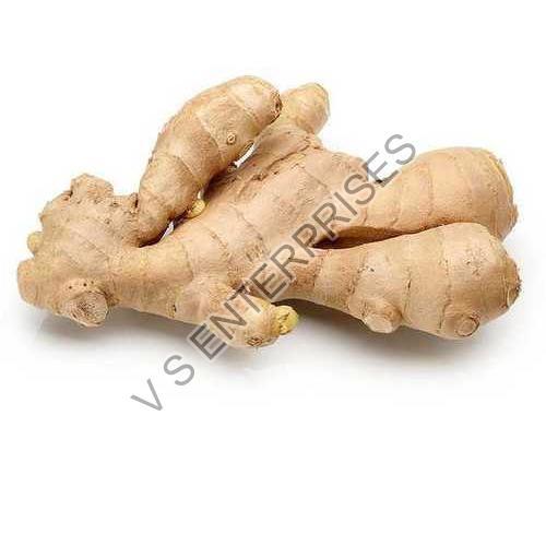 Natural Brown Fresh Ginger