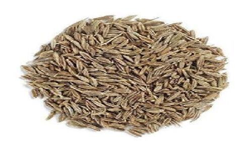 Brown Cumin Seeds for Cooking