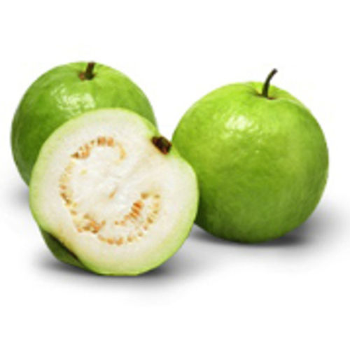 Healthy And Natural Fresh Green Guava Shelf Life: 3-5 Days