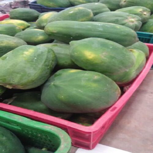 Healthy and Natural Fresh Green Papaya