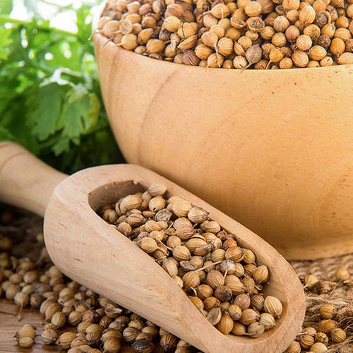 Healthy And Natural Organic Dried Coriander Seeds Grade: Food Grade