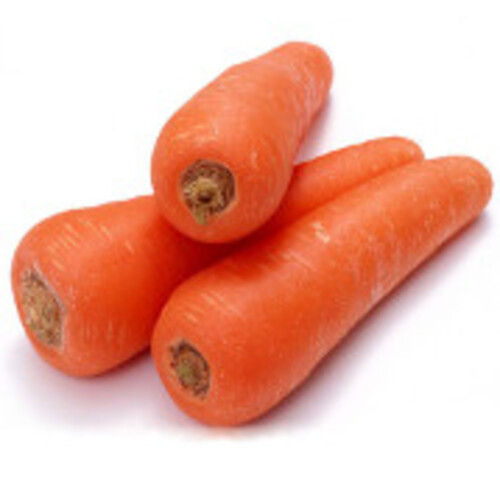 Healthy and Natural Organic Fresh Carrot