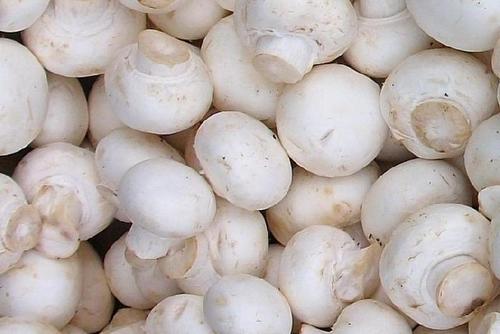 Healthy And Natural Organic Fresh Mushroom Grade: Food Grade