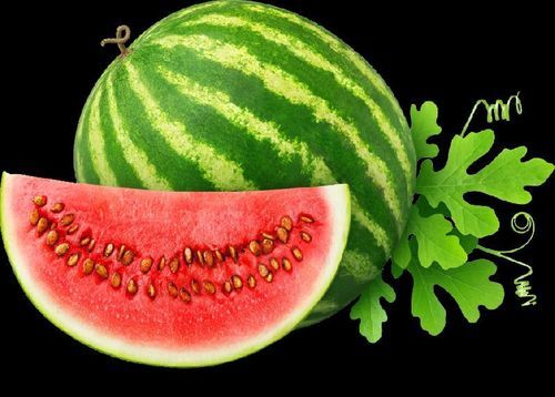 Healthy And Natural Organic Fresh Watermelon Size: Standard