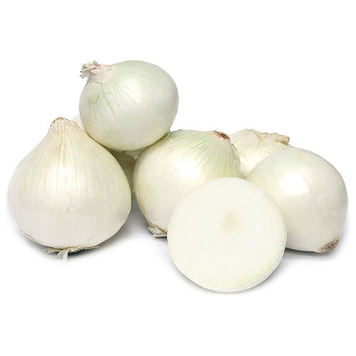 Healthy and Natural Organic Fresh White Onion