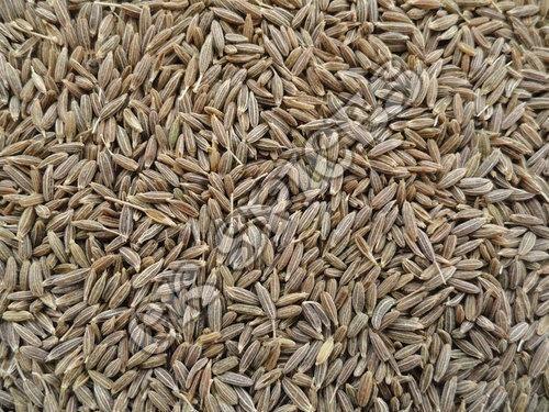 Brown Cumin Seeds For Cooking