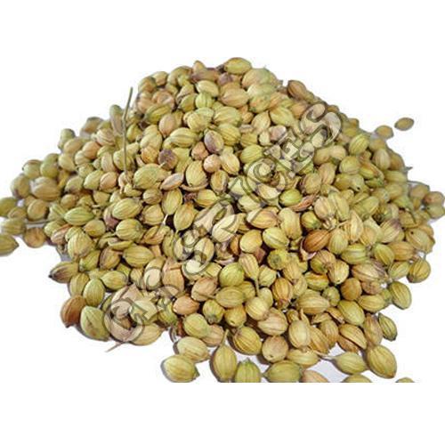 Dried Coriander Seeds - Fresh Organic Spices, Good Quality, 100% Pure, Sun Dried Variety