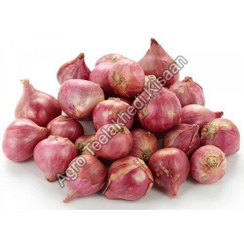 Fresh Sambar Onion For Cooking Preserving Compound: Cool & Dry Places