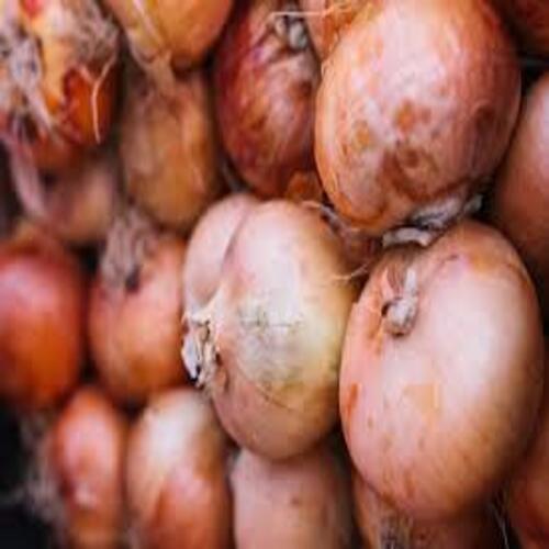 Healthy and Natural Organic Fresh Pink Onion